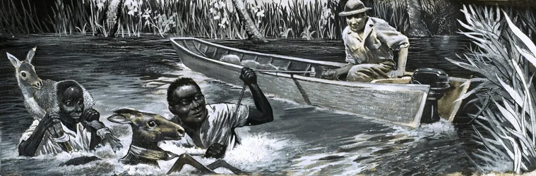 Afrikanen redden dieren