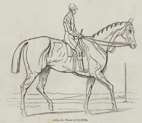 Attila, de Winnaar van de Derby (gravure)