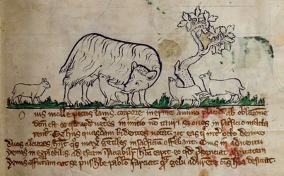 CCA-LitMs/D/10 fol. 8r Schaap, uit Bestiarium