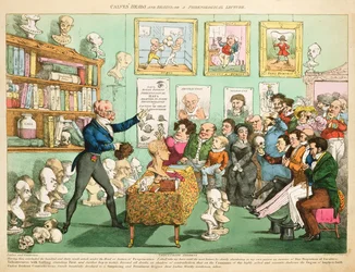 Kalverkoppen en hersenen; of een frenologische lezing, 1826