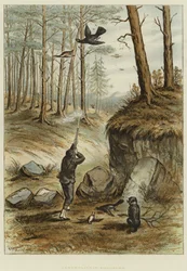 Capercailzie-jacht (chromolitho)