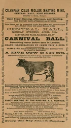 Carnavalbal in de Olympian Club Roller Skating Rink