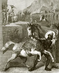 Strijdwagens van Nineveh