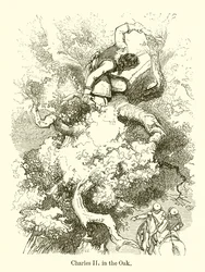 Karel II in de eik