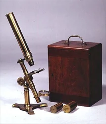 Samengestelde monoculaire microscoop, gemaakt door Amadio Optician, Londen, ca. 1860