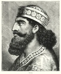 Darius