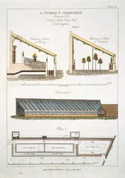 Ontwerp voor een Ananashuis en Oranjerie in Teddington, 1806