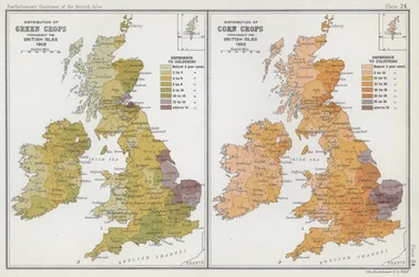 Verspreiding van groene gewassen, Verspreiding van graangewassen