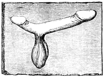 Dubbele phallus van de bovendorpel van een vomitorium (uitgangspassage) bij het amfitheater van Nîmes (Colonia Nemausus)