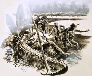 Slechts gekleed in zijn pyjama dook Harry Murray door de door krokodillen geteisterde moerassen van Nieuw-Guinea.