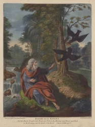 Elia gevoed door Raven