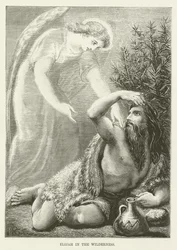 Elia in de wildernis