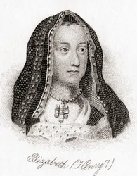 Elizabeth van York