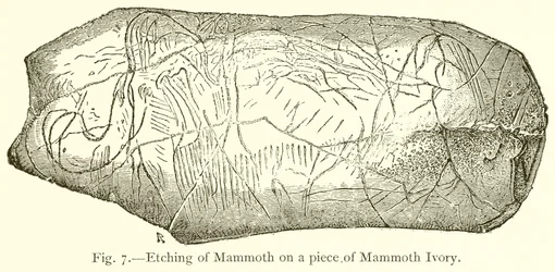 Ets van mammoet op een stuk mammoetivoor