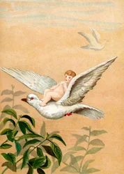 Fee Rijdt op een Witte Duif