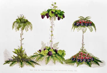 Eerste prijs voor tafeldecoratie, Royal Horticultural Society, 1851