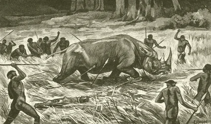 De losgesnoerde neushoorn volgen (gravure)
