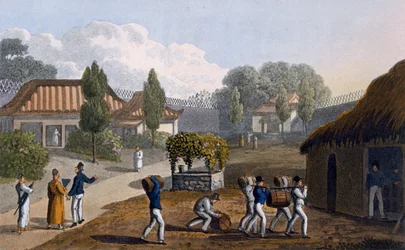 Tuin van de Tempel van Lewchew, 1820