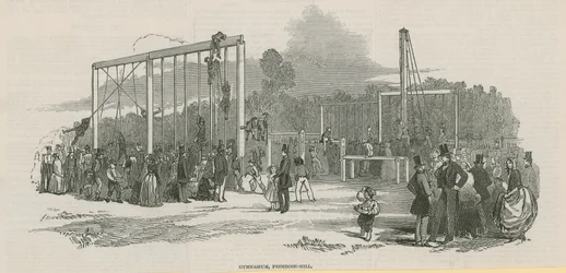 Gymnasium, Primrose Hill