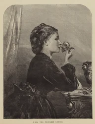 HRH de Prinses Louise