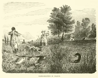 Hazenjacht in Frankrijk