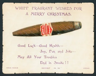 Havana Sigaar