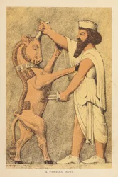 Herodotus: Een Perzische koning