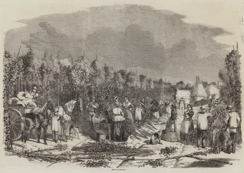 Hopplukken (gravure)
