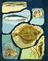 Hoe vissen aan hun vijanden ontsnappen