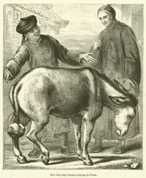 Hoe ze in China het gebrul van ezels stoppen (gravure)