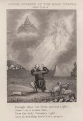 Jona kijkt naar de Heilige Tempel, Jona II, vers 4 (gravure)