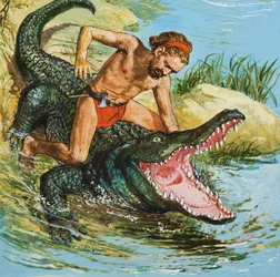 Louis, de Desert Island Castaway, valt een krokodil aan (gouache op papier)