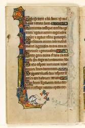 MS 1-2005, fol. 47v: Een grotesk, marginaal decor uit de Macclesfield Psalter, Gebruik van Sarum, Oost-Anglia, c.1330