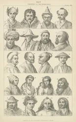 Mens. Variëteiten van het menselijk ras (gravure)