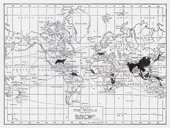 Wereldkaart met rijstproducerende landen