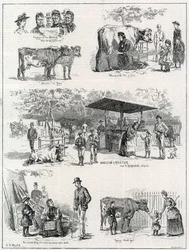 Melkmarkt in St Jamess Park