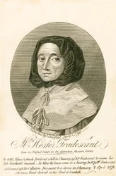 Mevrouw Hester Tradescant