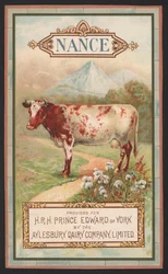 Advertentie voor de Aylesbury Dairy Company