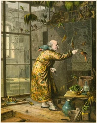 Oude man in zijn volière