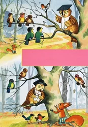 Uil die andere vogels lesgeeft