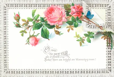 Roze rozen en blauwe vlinder