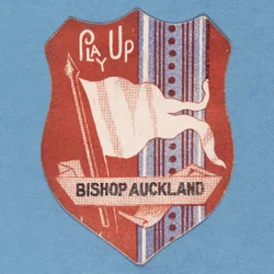Speel op Bishop Auckland