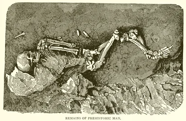 Overblijfselen van de prehistorische mens