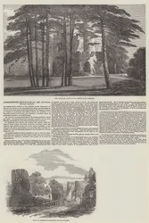 Somersetshire Archaeological and Natural History Society