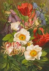Zomerbloemen (kleurenlitho)