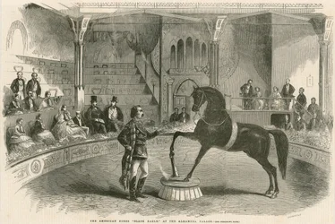 Het Amerikaanse paard Black Eagle in het Alhambra Palace (Alhambra Theater), Leicester Square, Londen