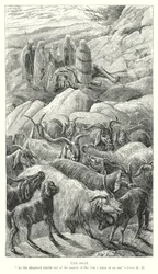 De geit (gravure)