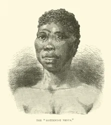 De Hottentot Venus
