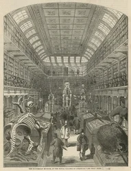 Het Hunterian Museum bij het Royal College of Surgeons