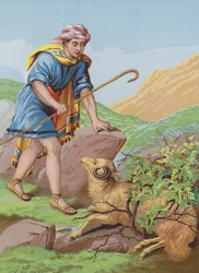 Het Verloren Schaap